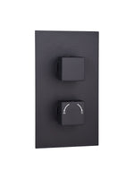 Load image into Gallery viewer, Orca Concealed Thermostatic 2 Way Shower Valve Square 2 Handle
