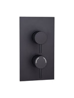 Load image into Gallery viewer, Orca Concealed Thermostatic 2 Way Shower Valve Round 2 Handle
