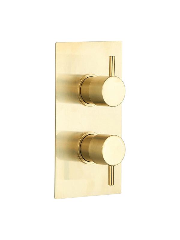 Brushed Brass Concealed Thermostatic 2 Way Shower Valve Round 2 Handle