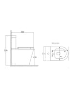 Load image into Gallery viewer, Ferrara Plus Rimless Semi-Comfort Height D-Shape Toilet &amp; Seat
