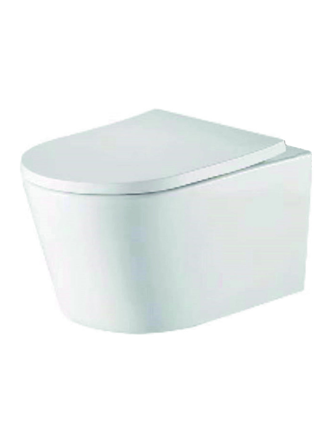 Ferrara Plus Rimless Wall Hung D-Shape Toilet Pan & Seat